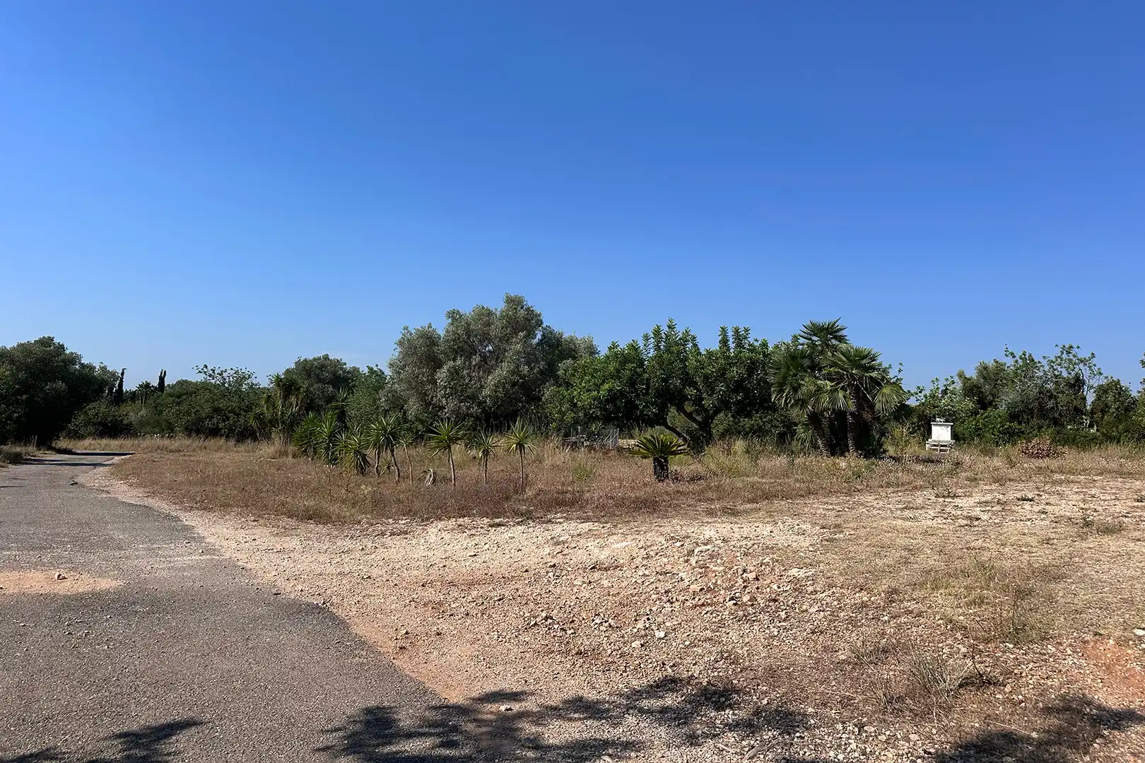 Chalet con jardín en venta en N/A, imagen 9