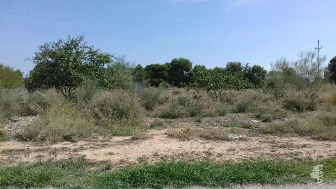 Terrenos y solares en venta en Partida Pla de la Cerdera, imagen 5