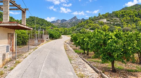 Foto 3 de Finca rústica en venda a Plaça de Marxuquera, 72, Urbanizaciones, Gandia
