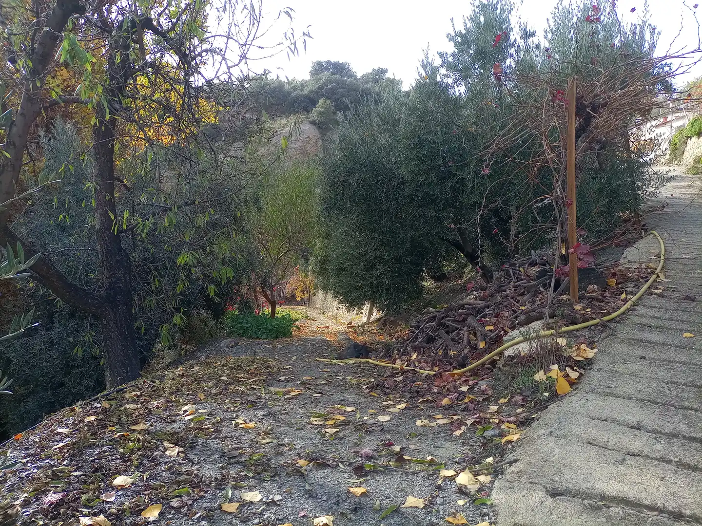 Terreny rústic en venda a Alpujarra de la Sierra, imagen 2