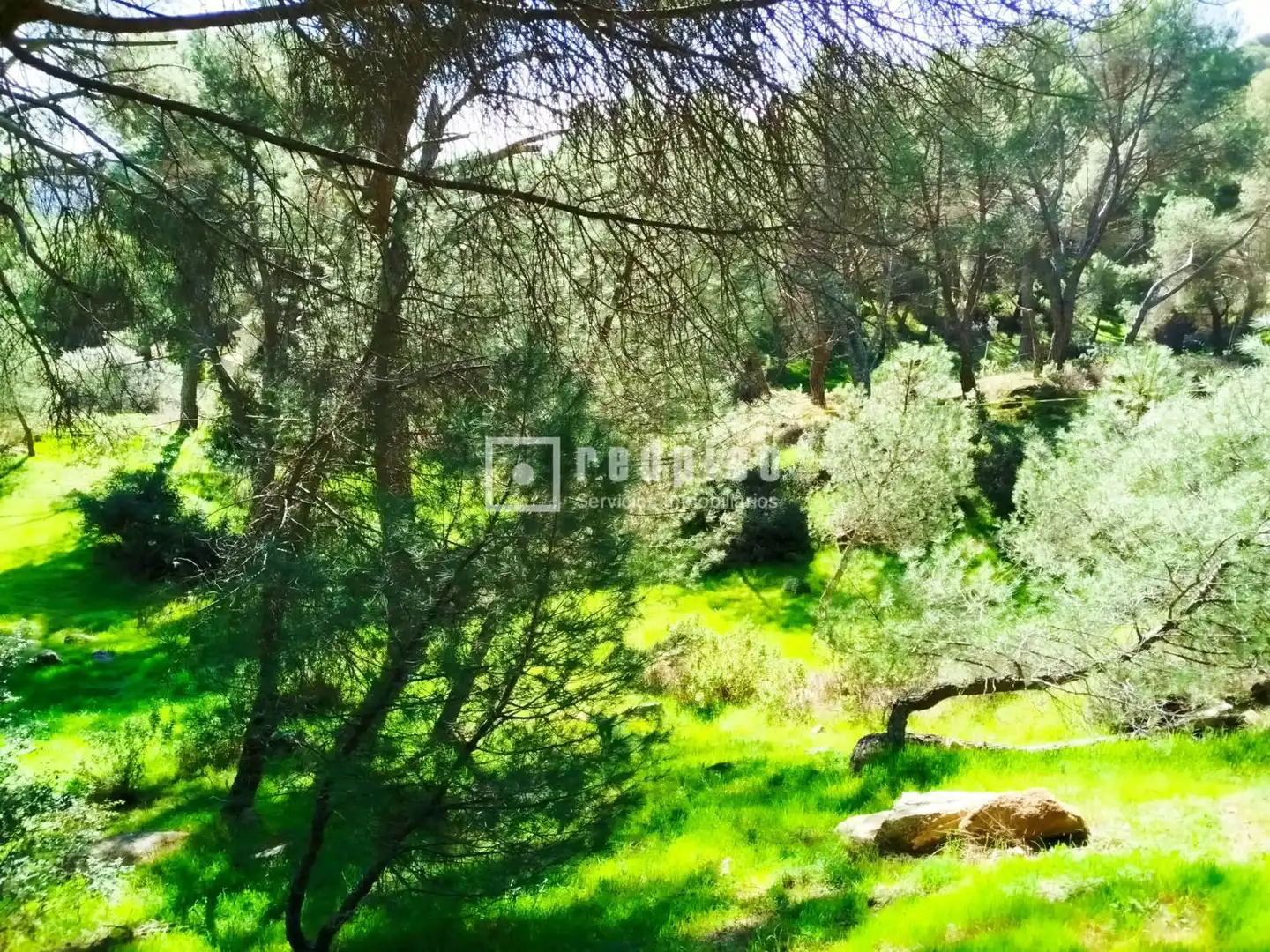 Residencial en venta en San Martín de Valdeiglesias