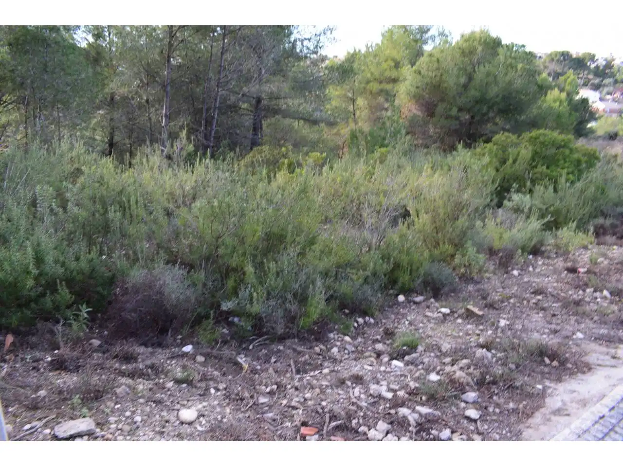 Terreny rústic en venda a Castellnou - Can Mir - Can Solà, imagen 8