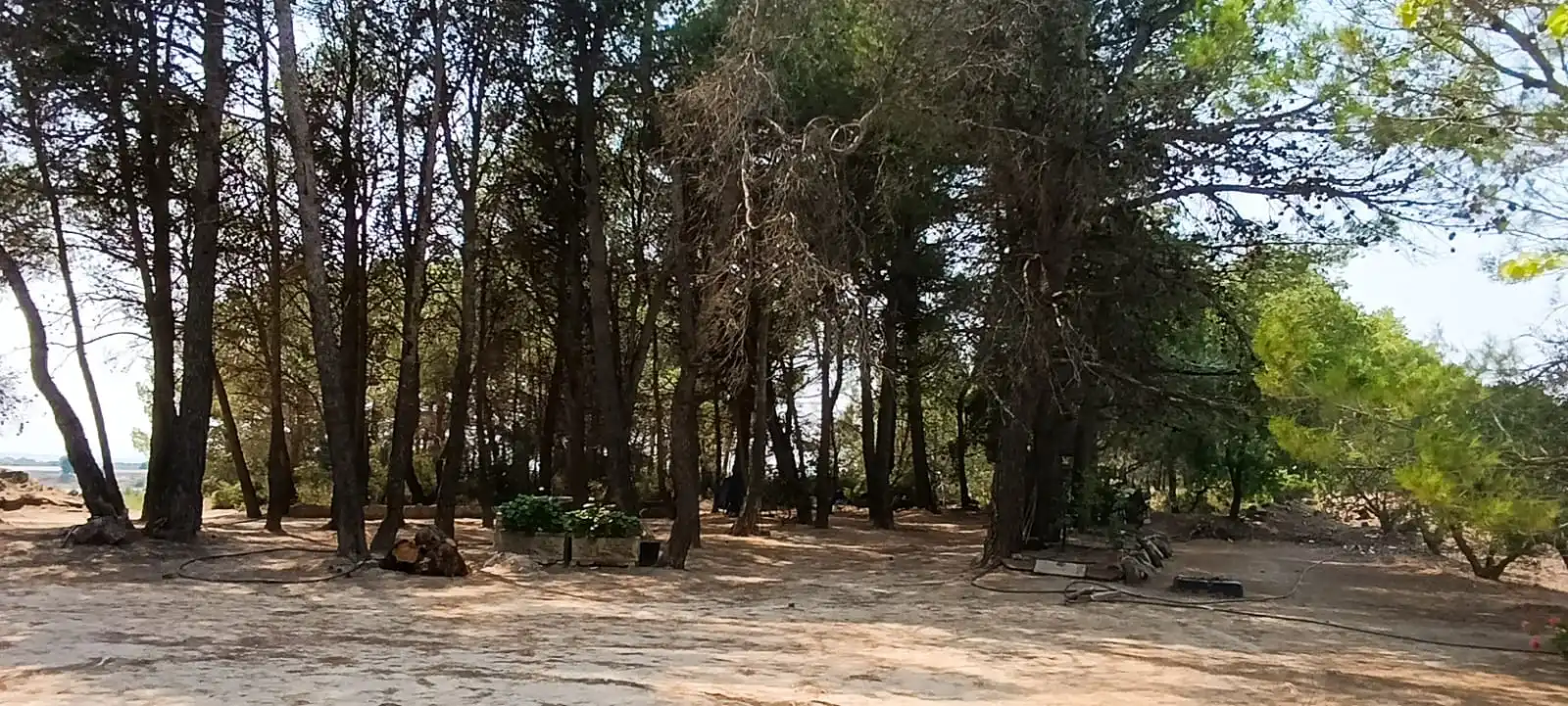 Residencial en venda en Vilalba dels Arcs