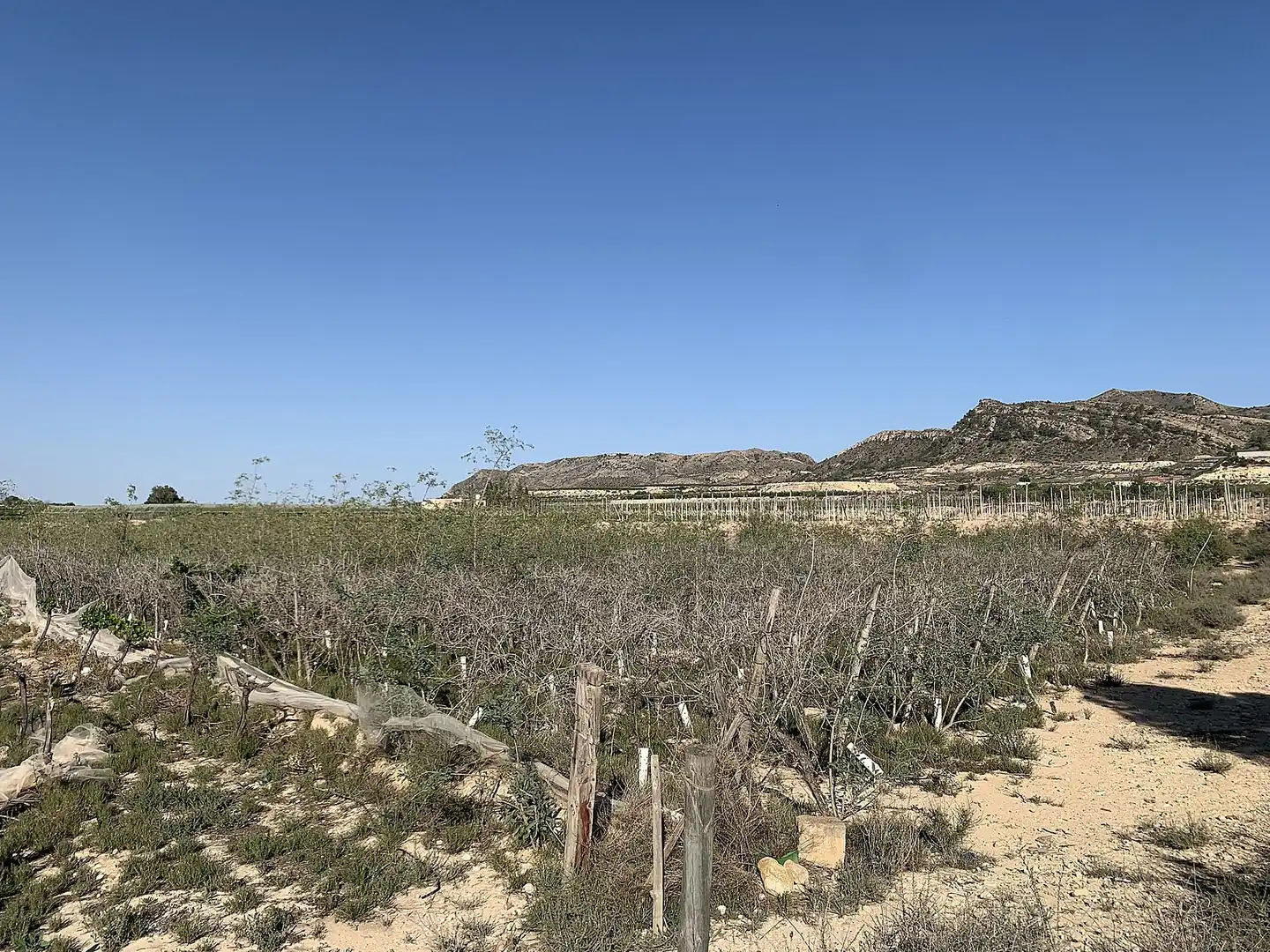 Terreno residencial en venta en Monforte del Cid