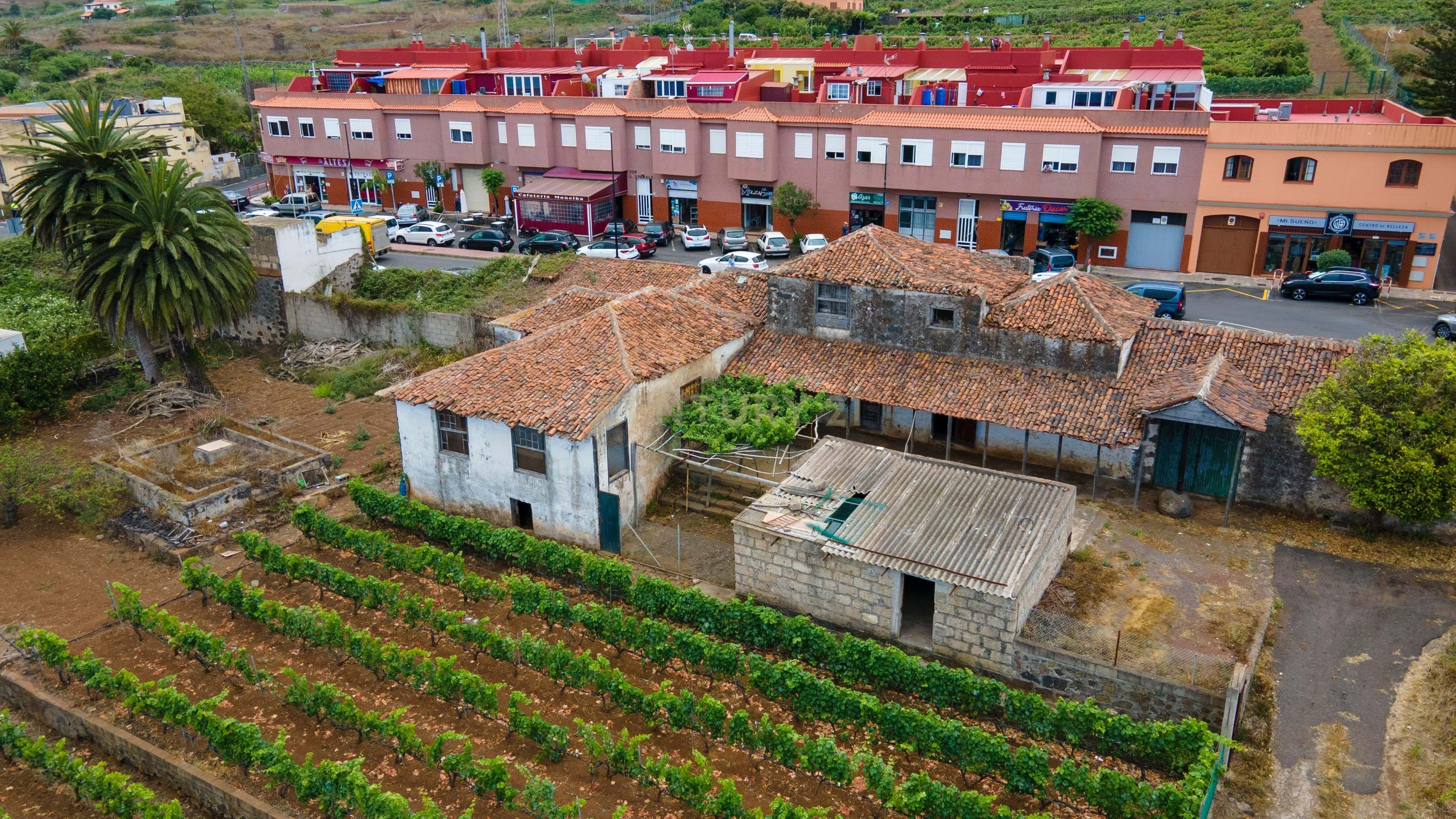 Vista exterior de Casa o xalet en venda en Tacoronte