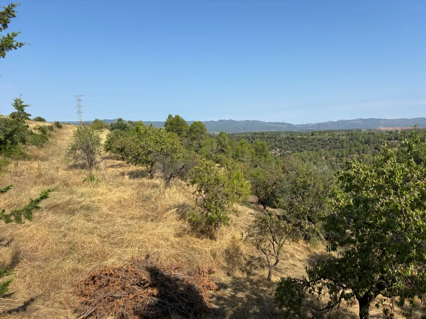 Rural land for sale in Carrer de la Muntanya, imagen 22
