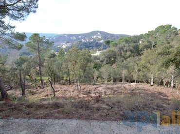 Terreno residenziale in vendita a Carrer Eucaliptus