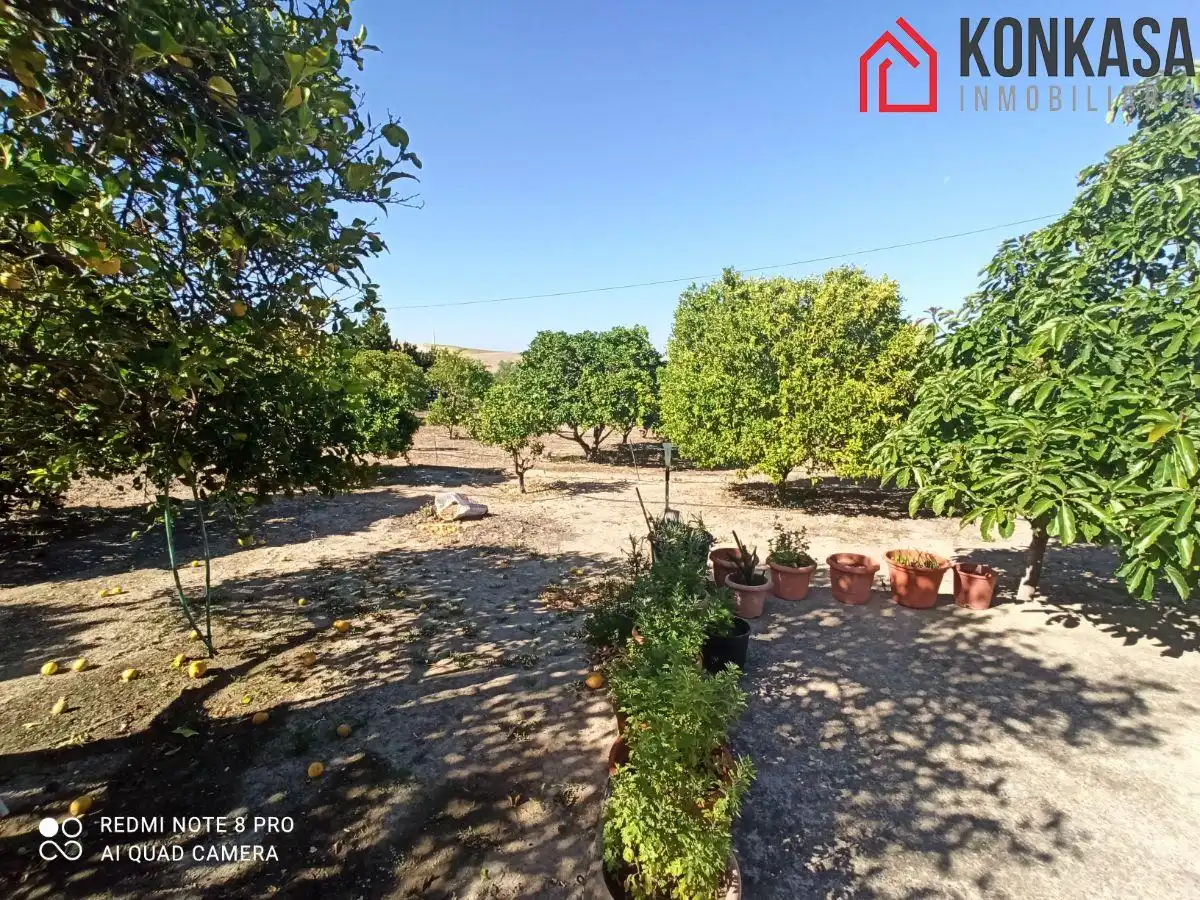 Chalet en venta en Arcos de la Frontera, imagen 26
