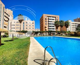 Swimming pool of Flat to rent in  Granada Capital  with Air Conditioner, Terrace and Swimming Pool