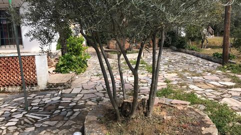 Photo 3 of Land for sale in Cr-721, 153, Piedrabuena, Ciudad Real