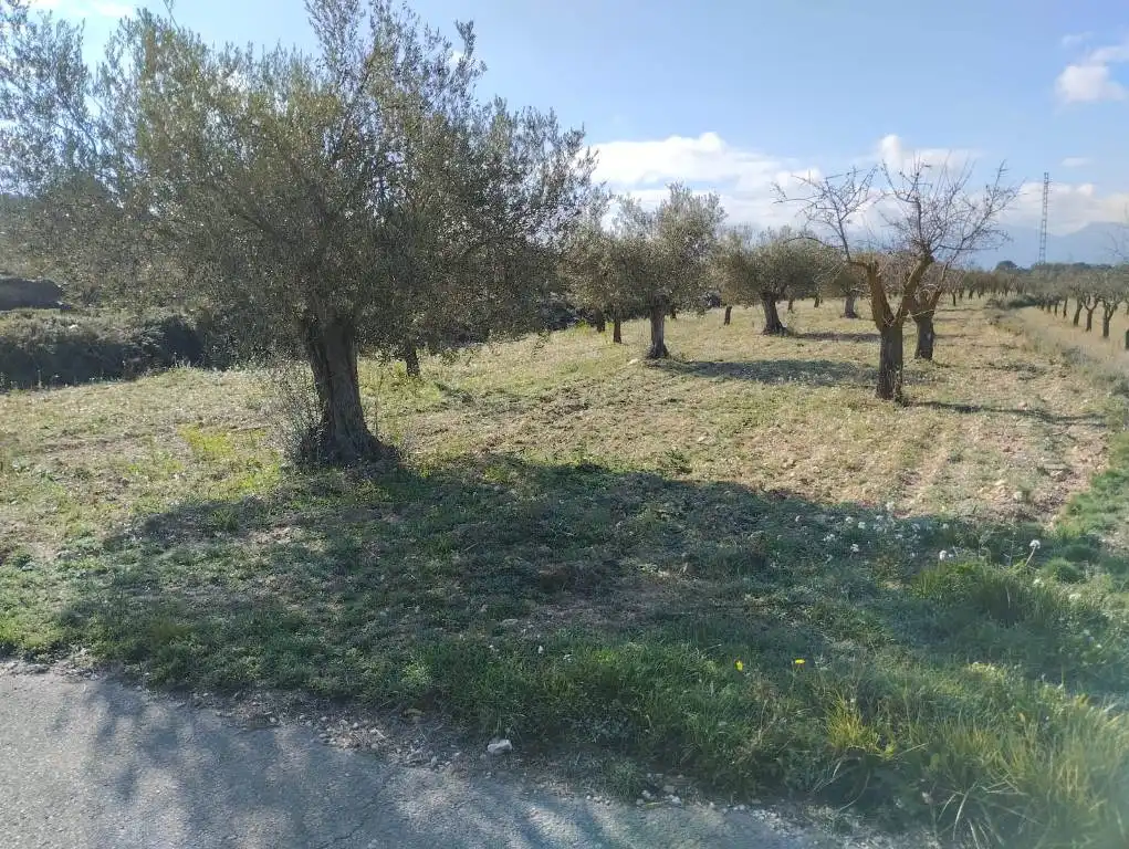 Terreno rústico en venta en Carrer Mestre Barbieri, imagen 4