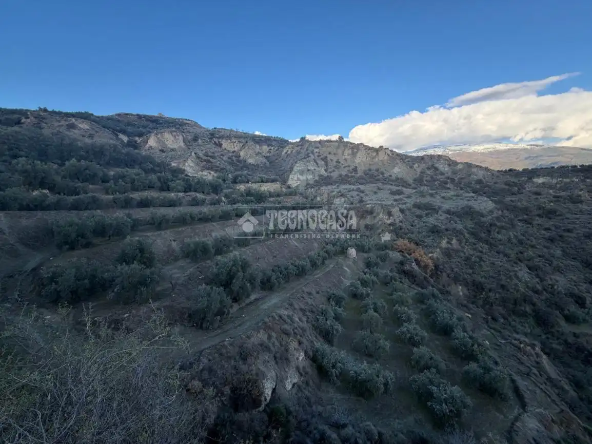 Terreno rustico in vendita a El Valle, imagen 16