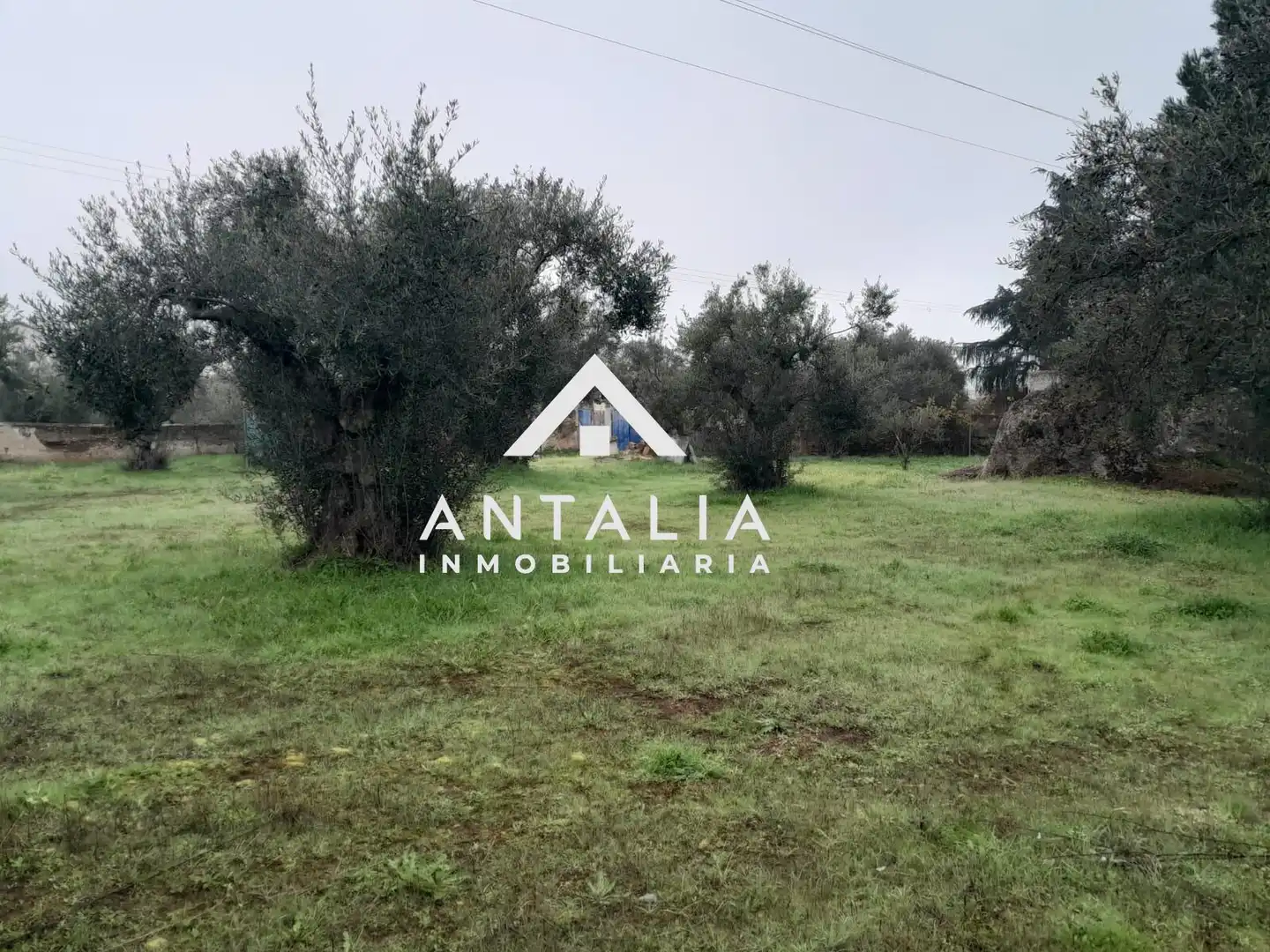 Terreni e lotti in vendita a Malpartida de Cáceres, imagen 14
