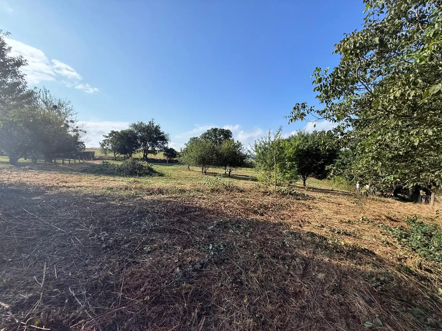 Residential land for sale in Carbayin - Lieres - Valdesoto, imagen 7