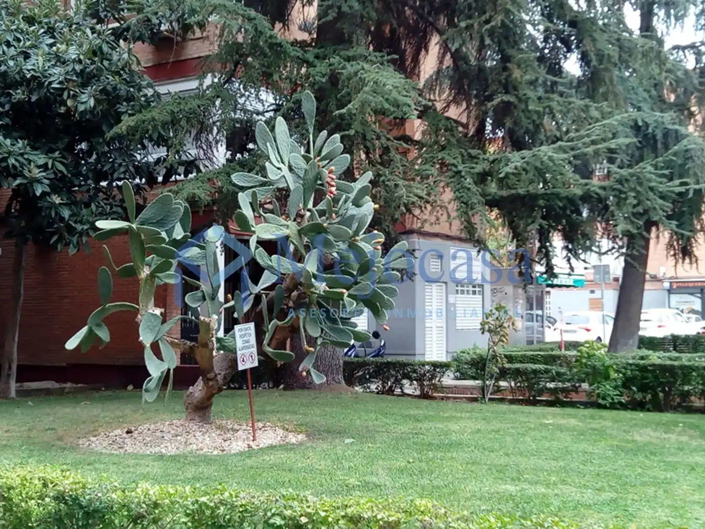 Jardín de Piso en venta en Madrid con Calefacción, Jardín privado y Terraza