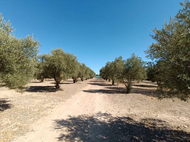 Terreno en Venta en Calle de Valquejigoso, 22D en Chinchón