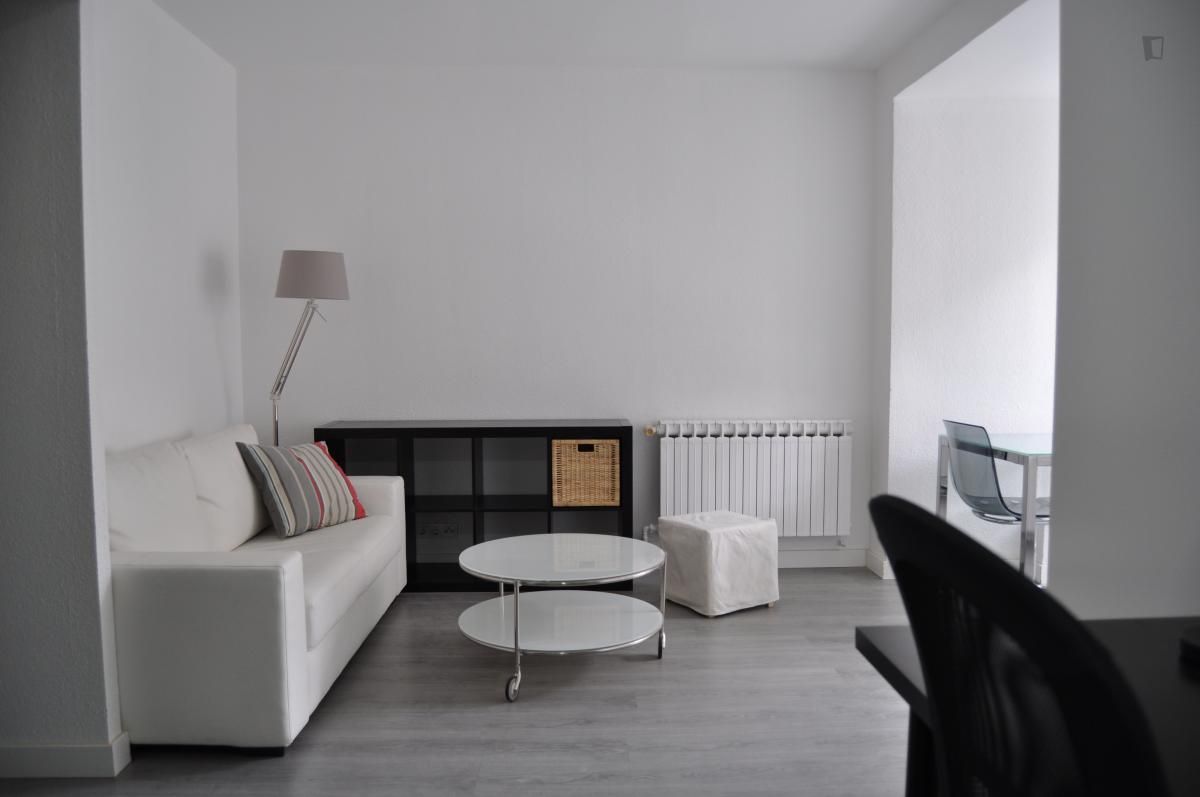 Sala de estar de Estudio de alquiler en  Madrid Capital con Calefacción, Amueblado y Horno