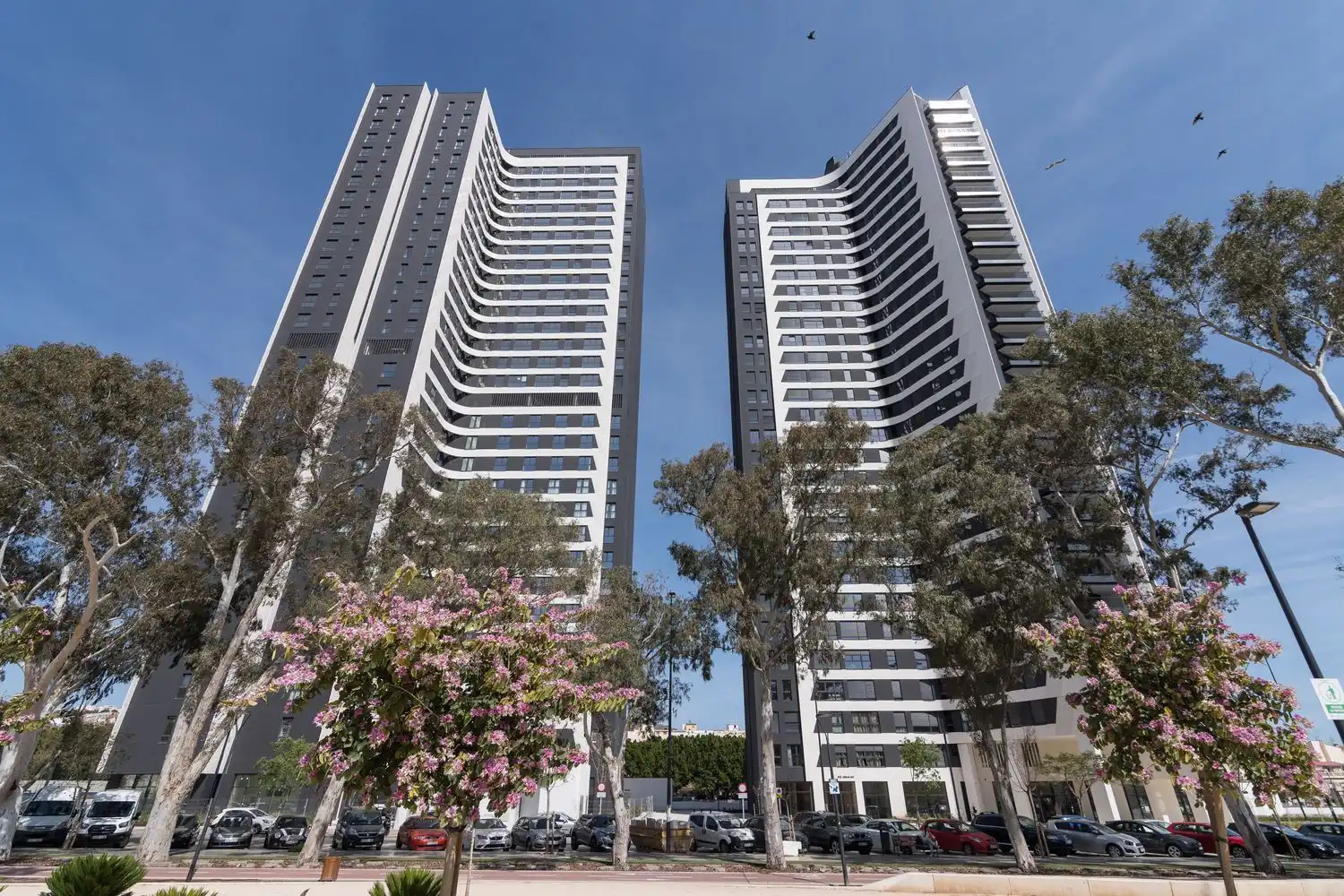 Appartement avec piscine à louer à Paseo Martiricos, imagen 3