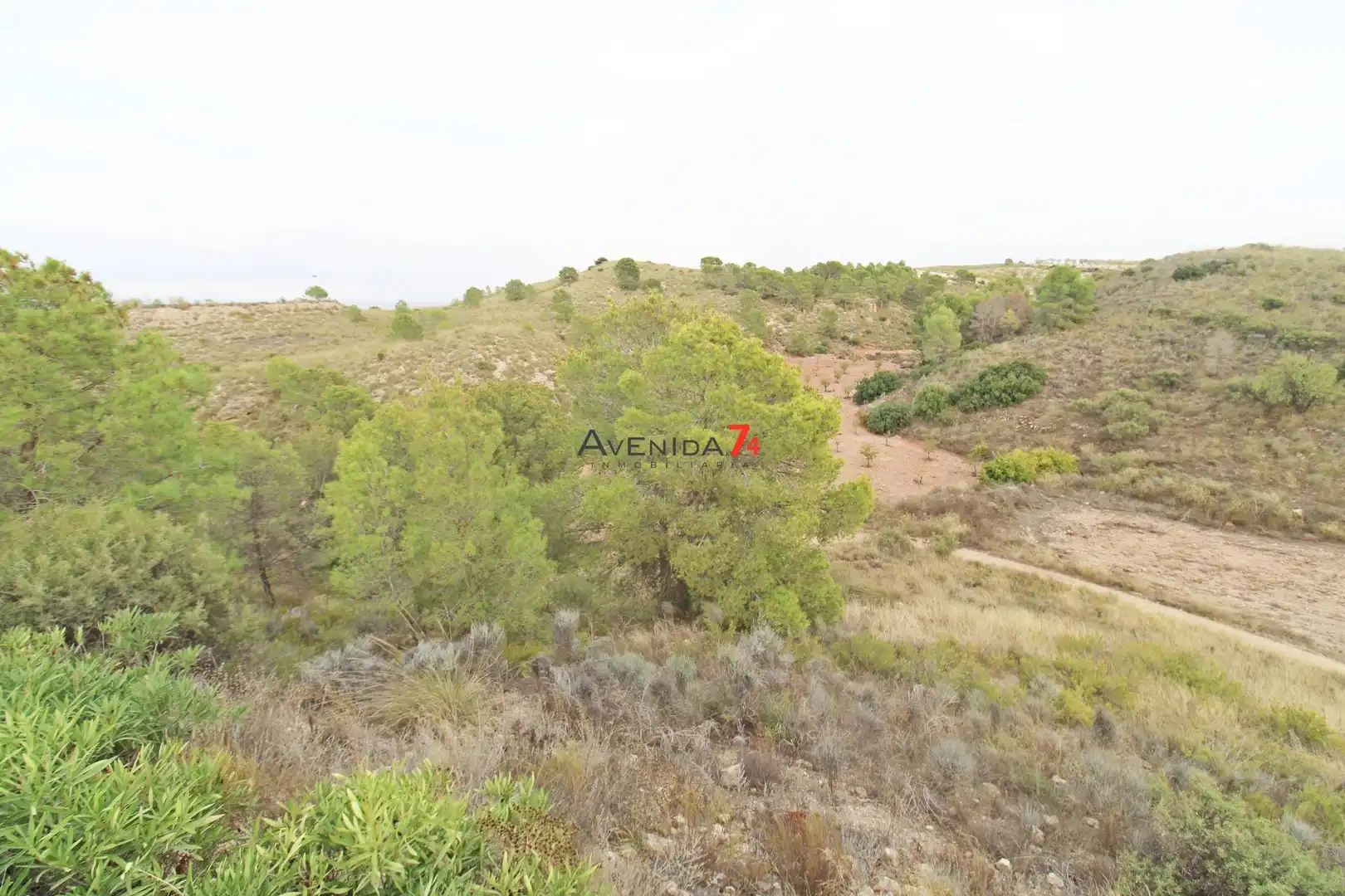Terrains et parcelles à vendre à Pedanías Norte, imagen 2