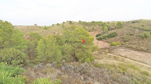 Photo 2 of Land for sale in Ortillo, Lorca