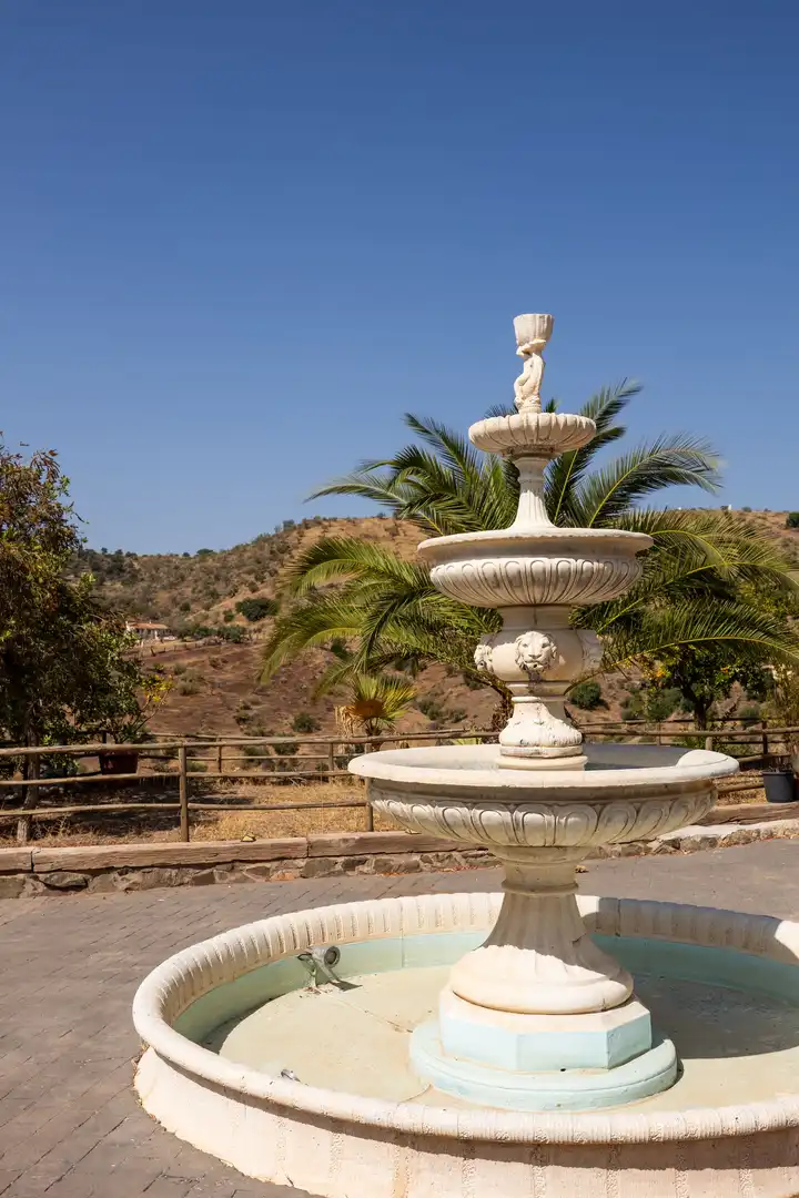 Finca rústica en venta en Almogía