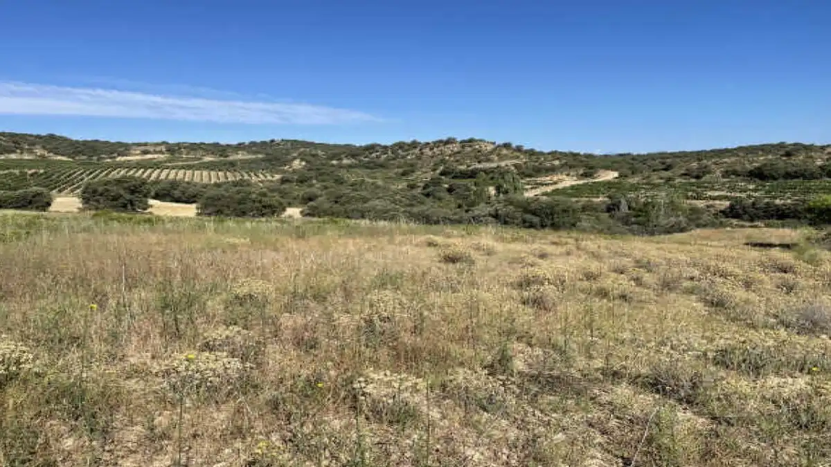 Residential for sale in Blecua y Torres