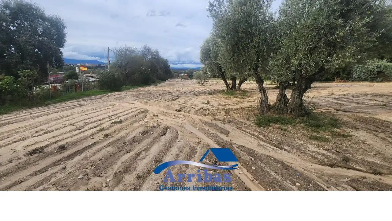 Terreni e lotti in vendita a Escalona, imagen 36