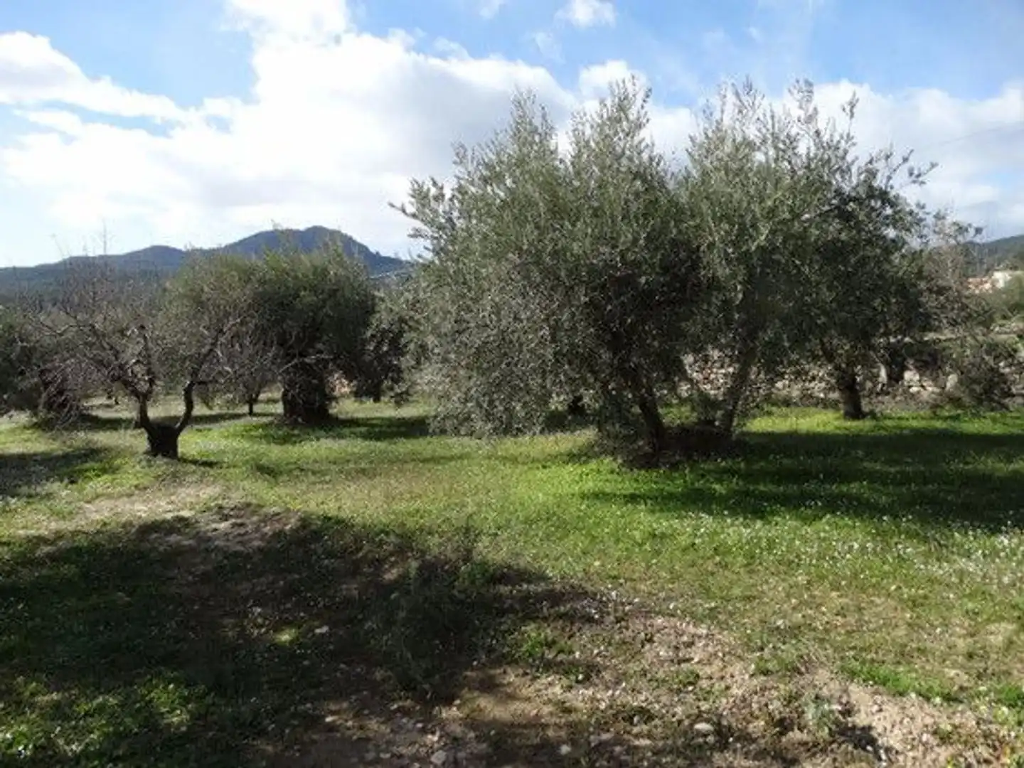 Terreni e lotti in vendita a Moratalla, imagen 13