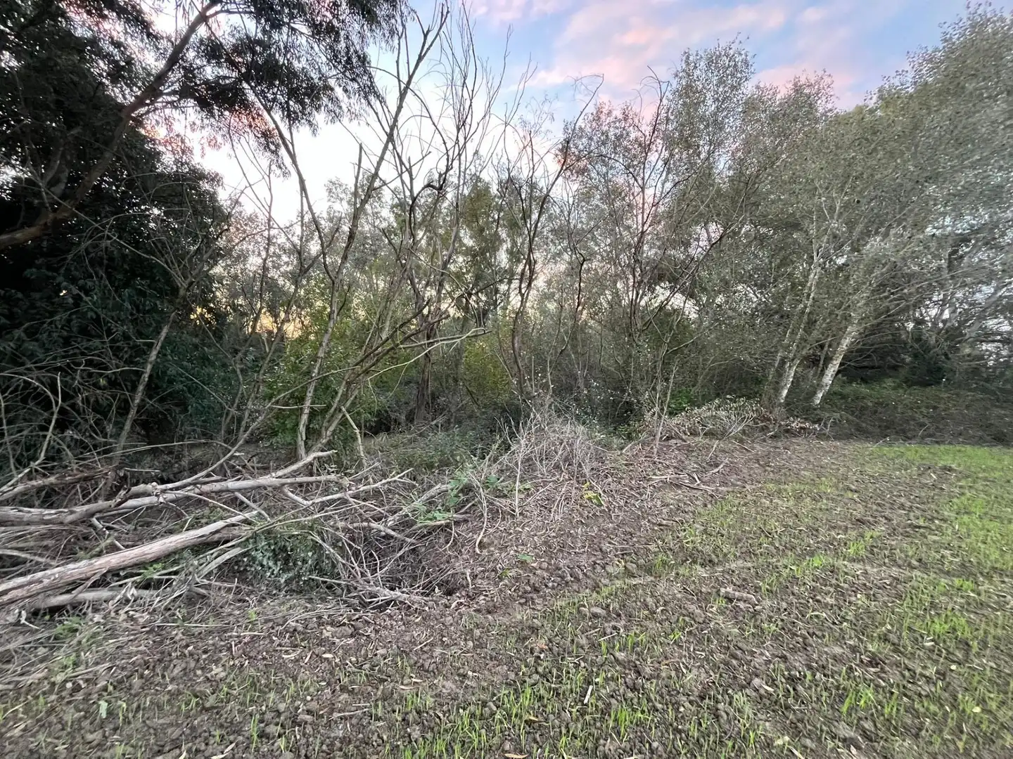 Terreno en venta en Jerez de la Frontera