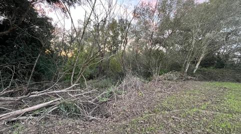 Photo 5 of Land for sale in Parque Atlántico - Ronda este, Cádiz