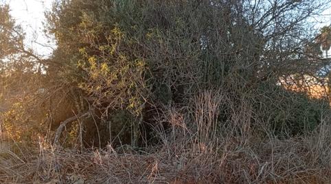 Foto 4 von Grundstücke zum Verkauf in Diseminado Pago Zorro, Roche, Conil de la Frontera