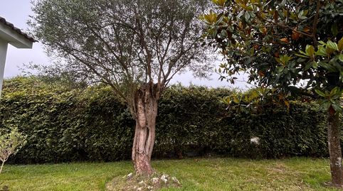 Photo 2 of Land for sale in Gijón - Camin de Huerces, 1293, Vega, Gijón