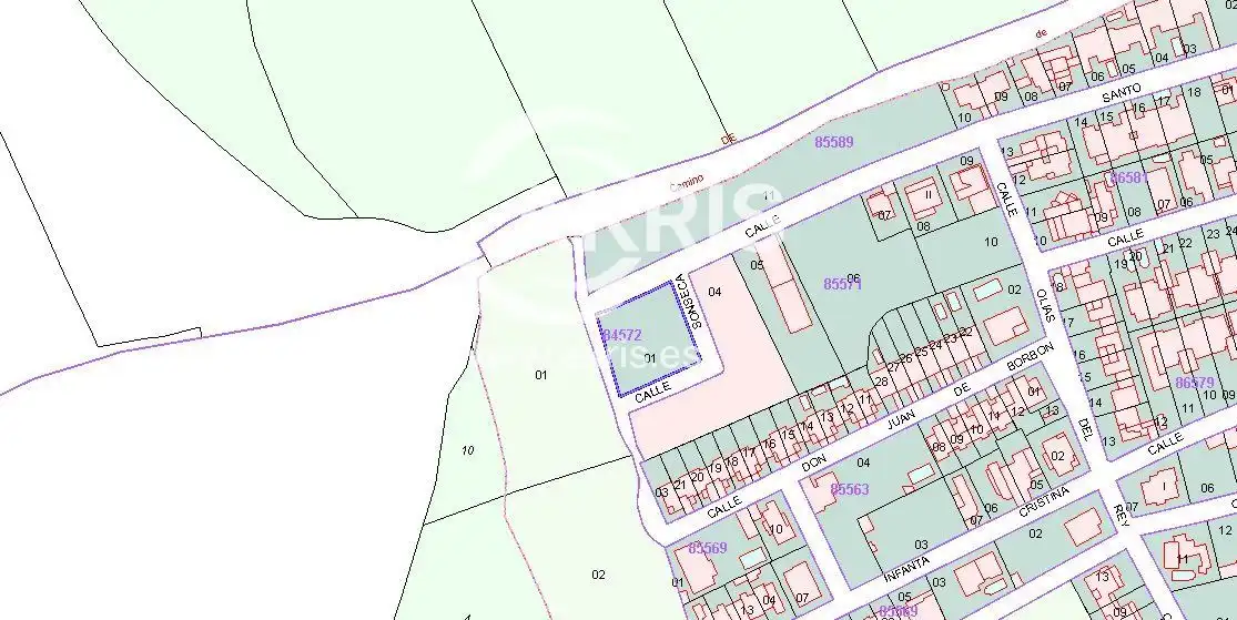 Terreno rustico in vendita a Calle Santo Domingo de Guzmán, imagen 2