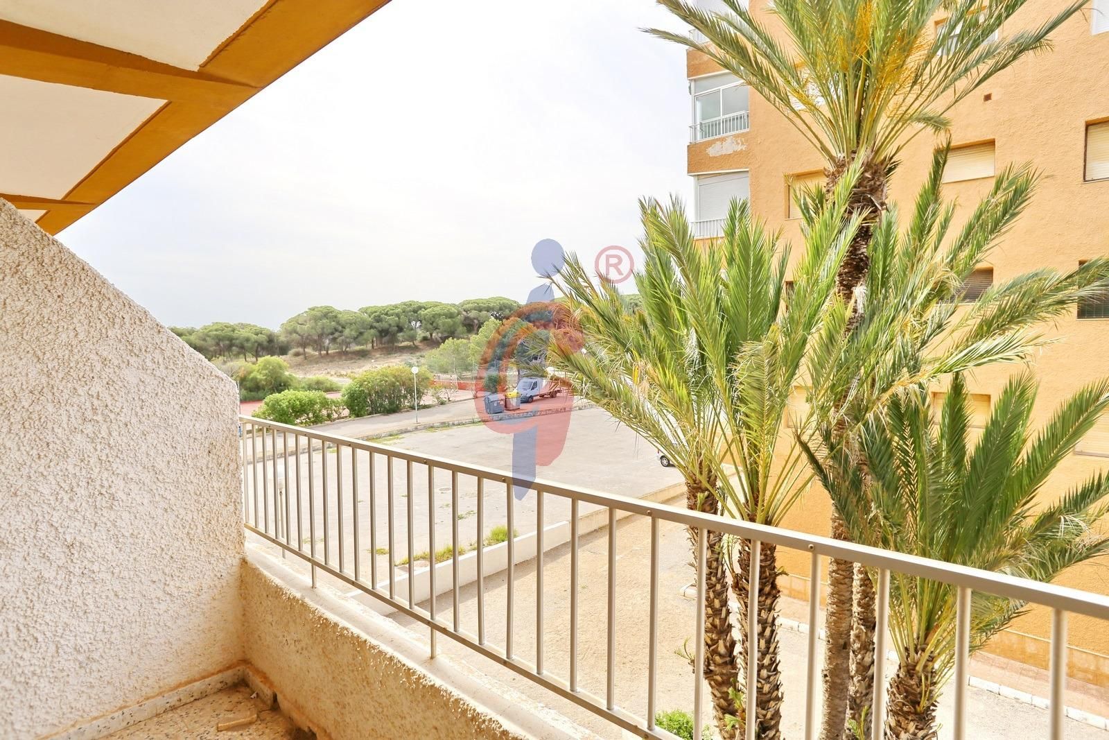 Terrassa de Apartament en venda en Guardamar del Segura amb Terrassa i Balcó