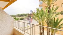 Terrassa de Apartament en venda en Guardamar del Segura amb Terrassa i Balcó