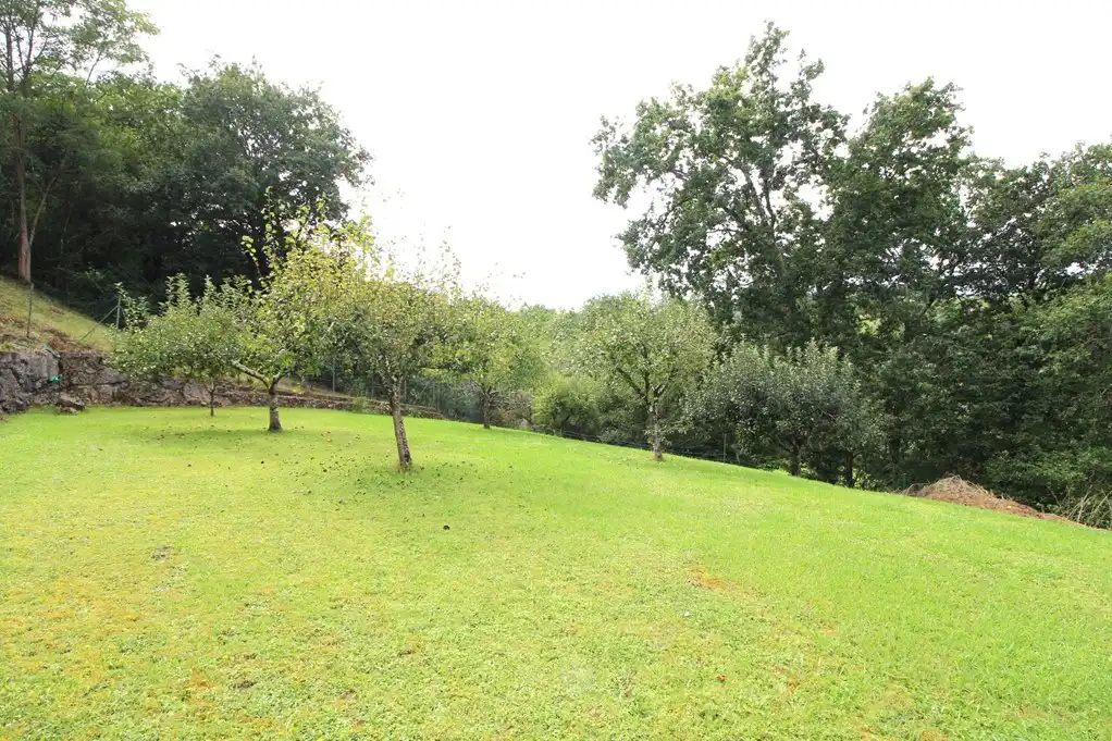 Casa o chalet en venta en Parres con Piscina y Amueblado