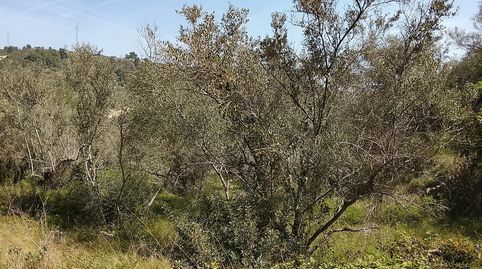 Foto 4 de Finca rústica en venta en Camí de la Finca del Governador, Urbanitzacions, Tortosa