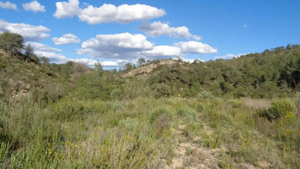 Terreno rustico in vendita a PESOLS, imagen 14
