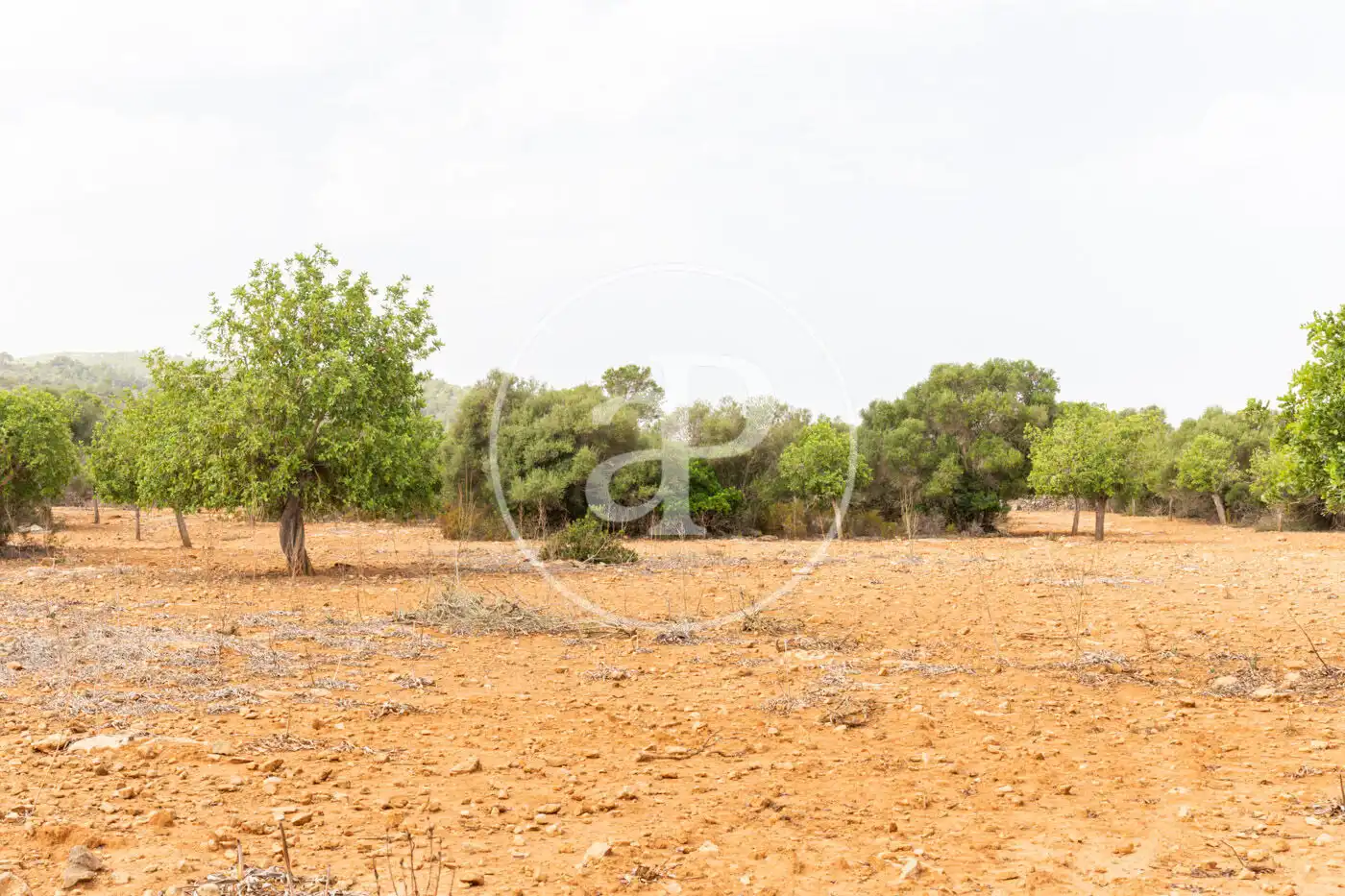 Terreno residenziale in vendita a Cami de.'s Presos, imagen 25