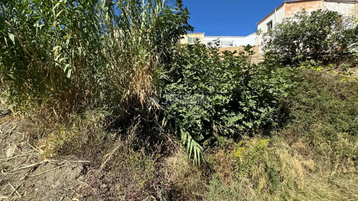 Finca rústica en venta en Albondón con Calefacción