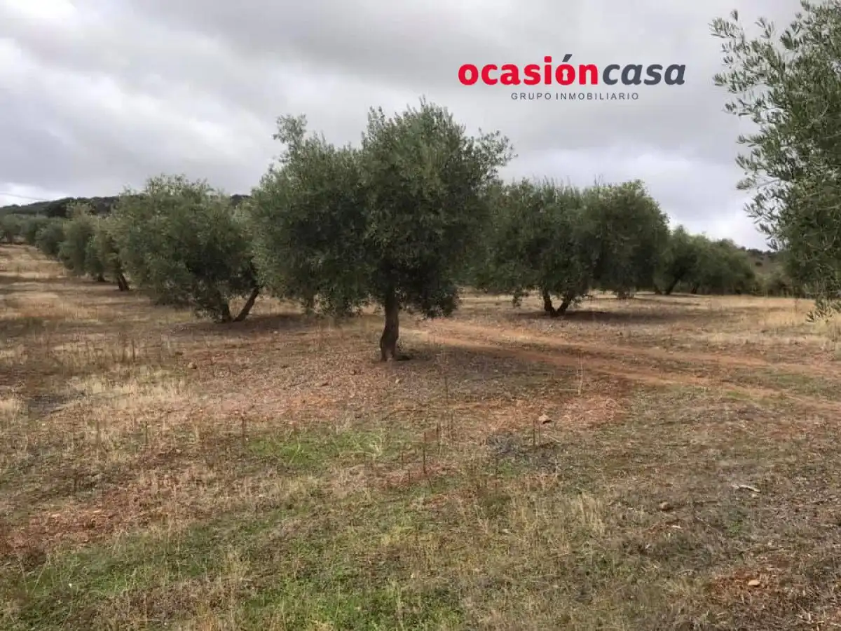 Terreny residencial en venda a Belmez, imagen 13
