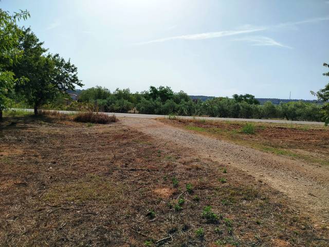 Terreno en Venta en La Masó