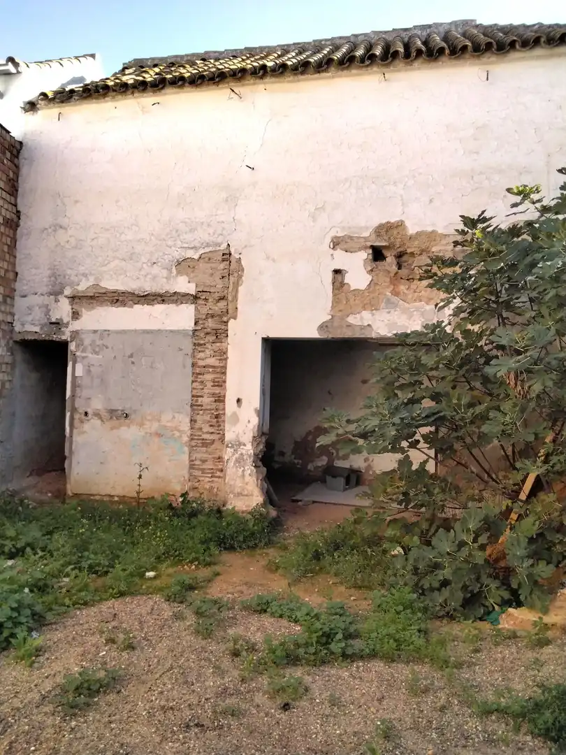 Vista exterior de Casa o chalet en venta en Carmona