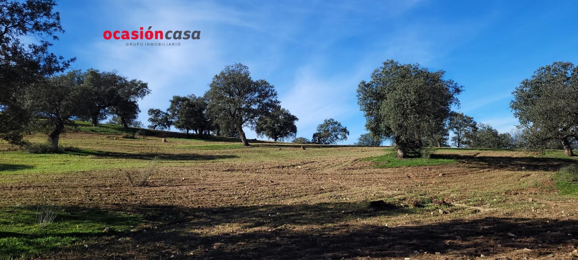 Finca rústica en venda en Pedroche