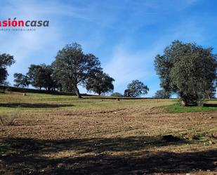 Country house for sale in Pedroche