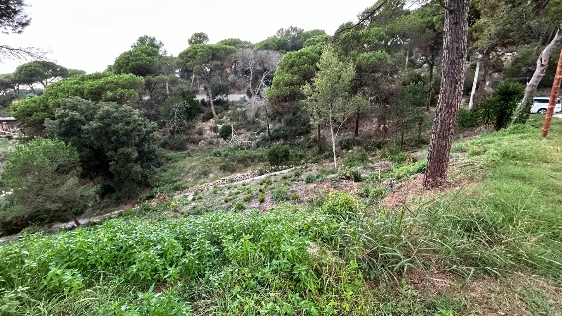 Terreno residencial en venta en Carrer Roure, imagen 4