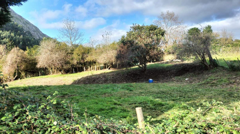 Photo 5 of Residential for sale in Otañes-corrales 8(h), Mioño - Santullán, Cantabria