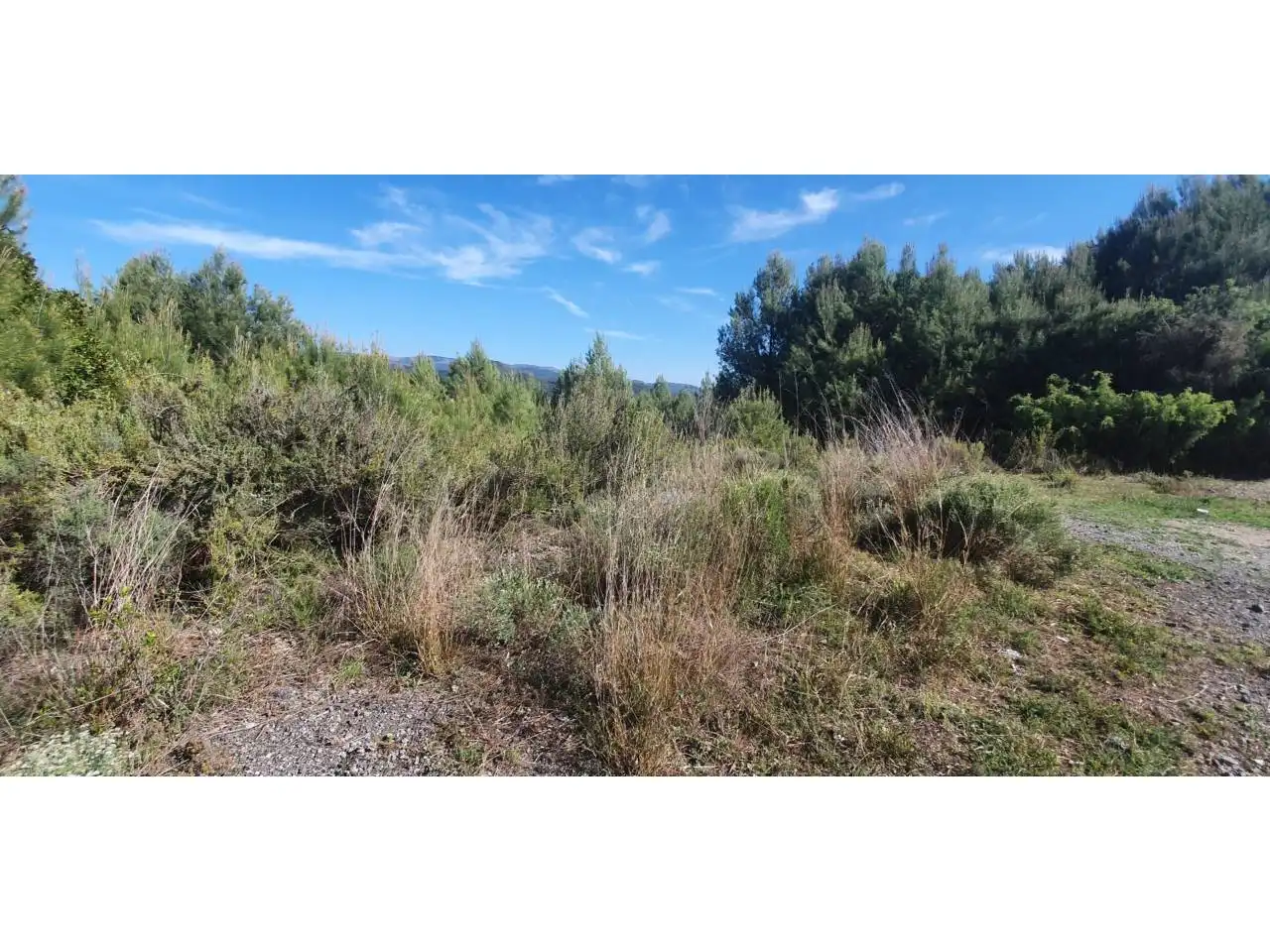 Terreny residencial en venda a Calle ISARD 45, imagen 5
