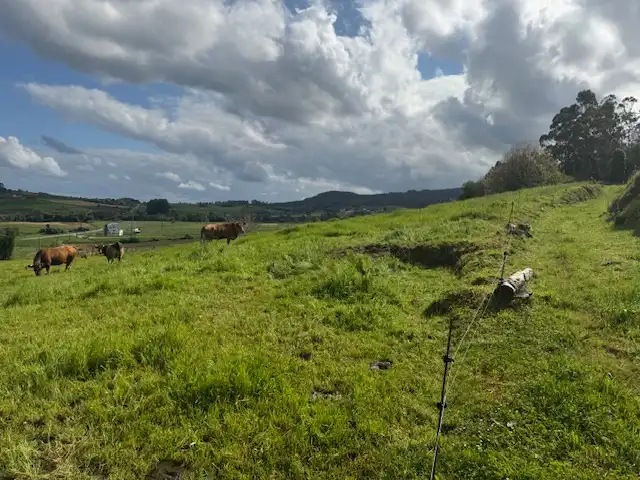 Residential land for sale in Castropol, imagen 10