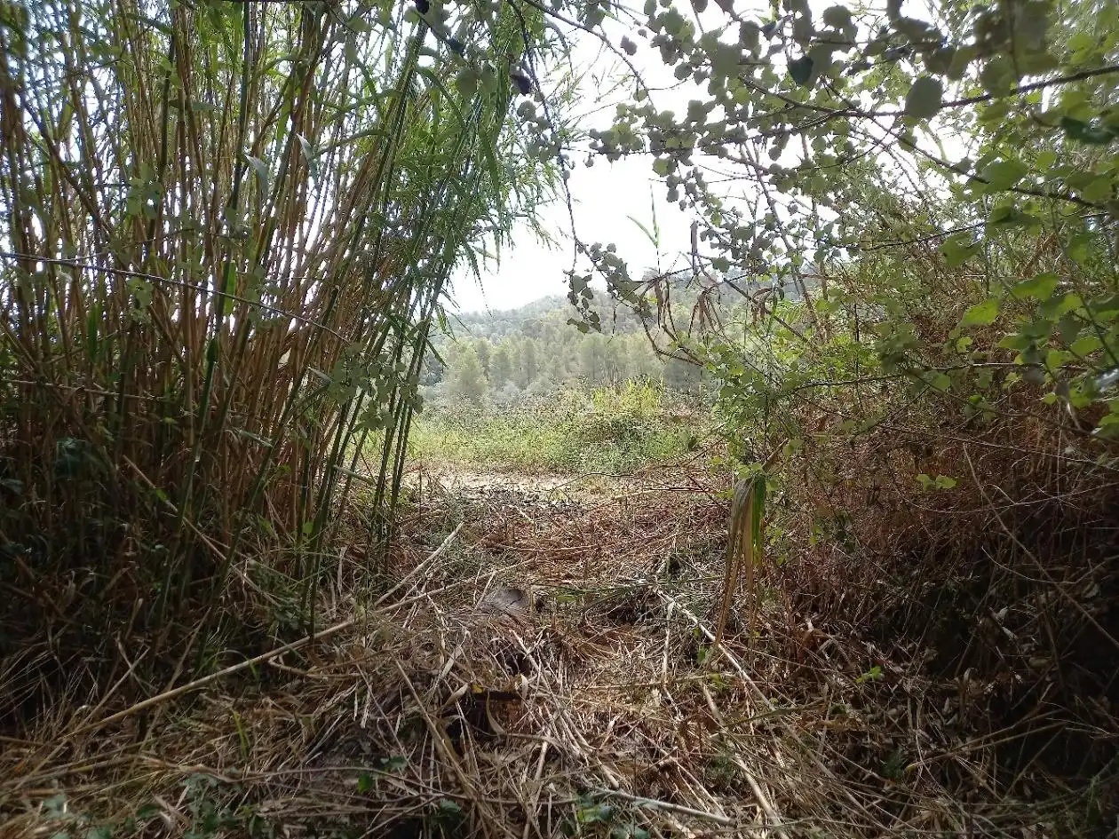Terrenys i solars en venda a Miravet, imagen 24